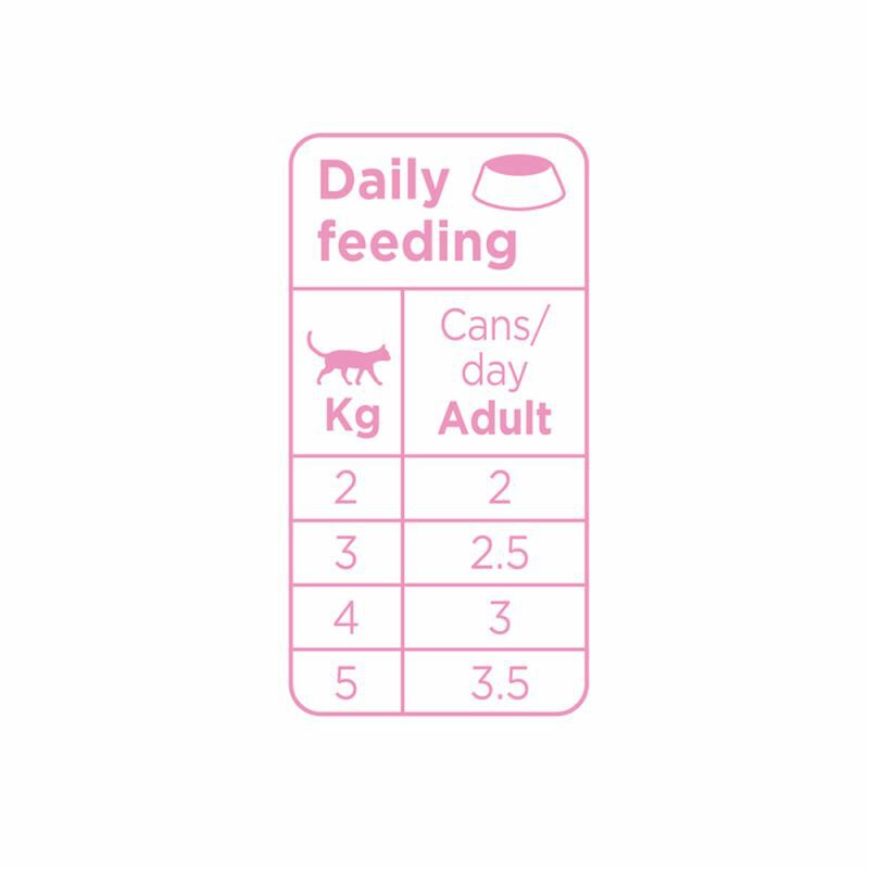 Prins Soft Paté - Kattenvoer - 70 Gram - Zalm & kip