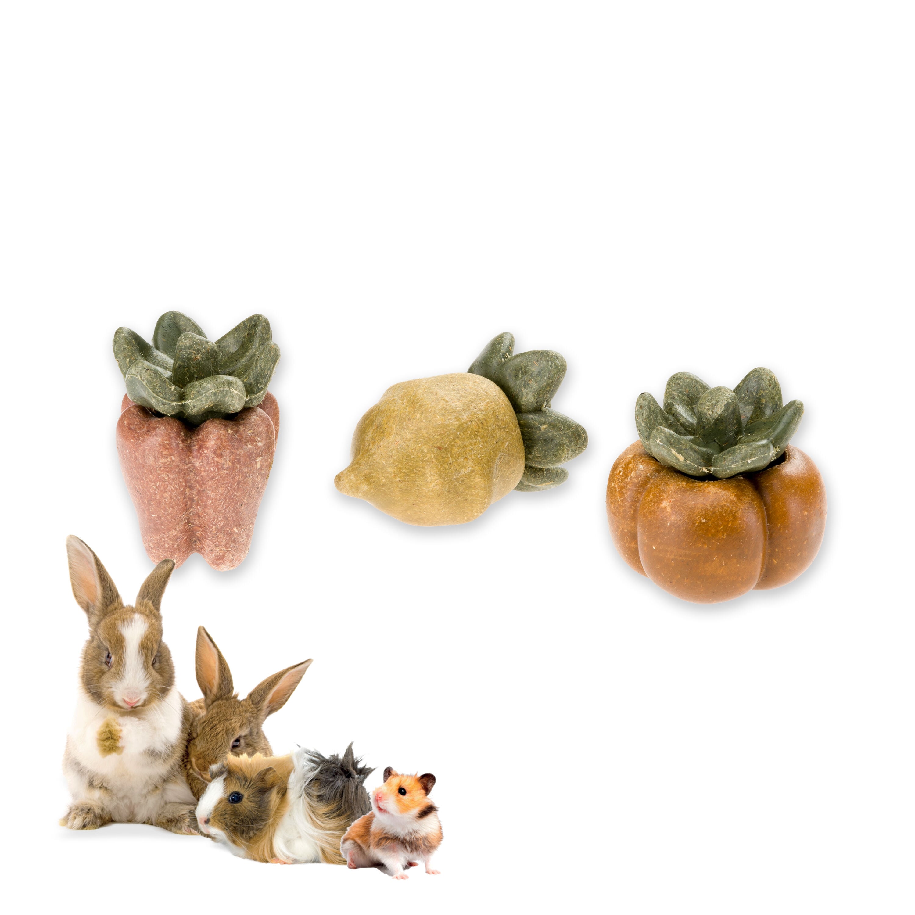 Ferplast Veggie Bites Cactus - Knaagdiersnack Ferplast Veggie Bites Cactus - Knaagdiersnack