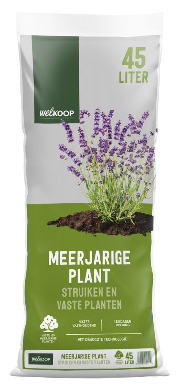 Welkoop Meerjarige plant - Potgrond