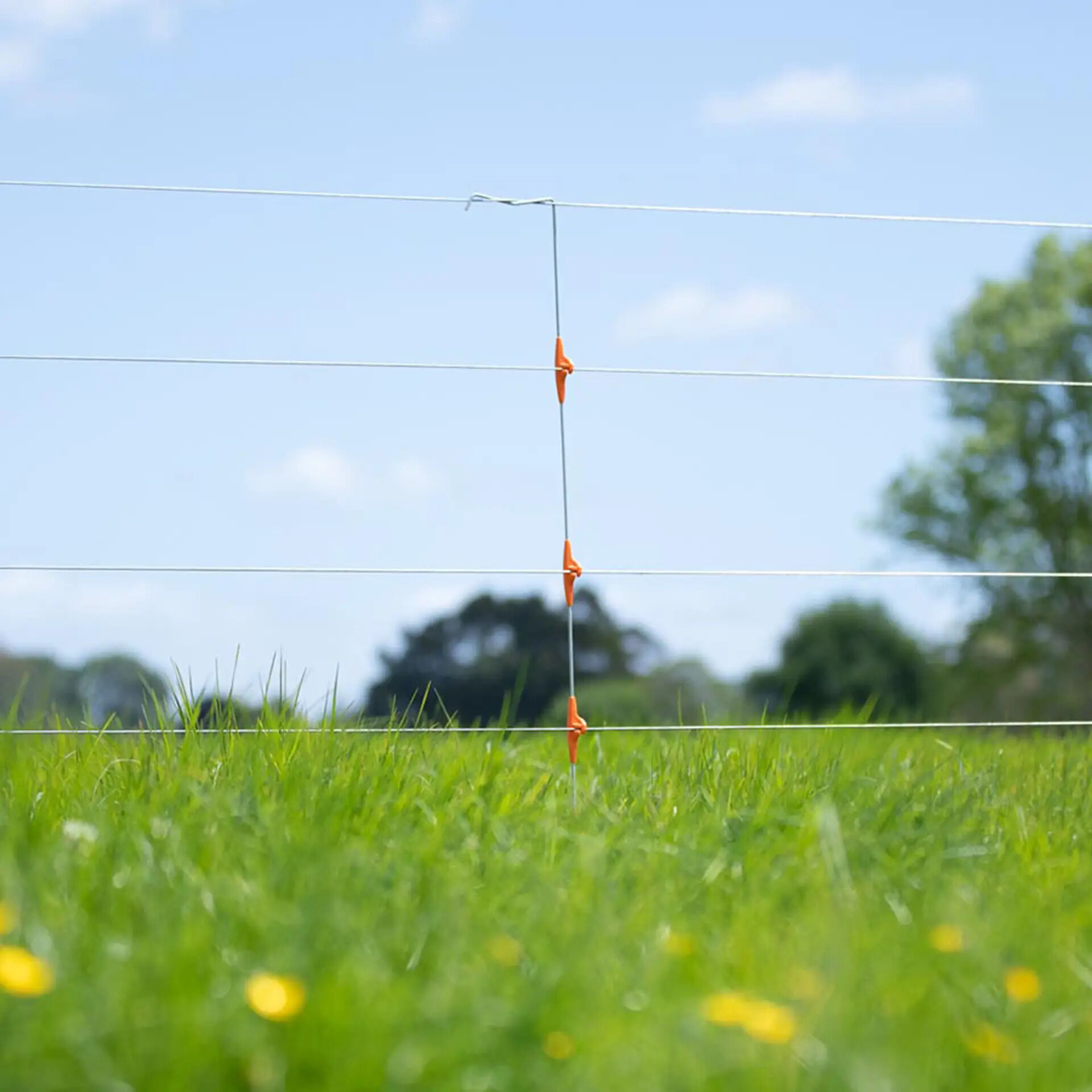 Gallagher LinePost Dropper- Afrasteringspaal - 2.5 cm - 10 Stuks - 82 cm - 95 cm