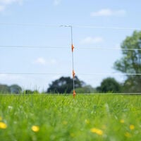 Gallagher LinePost Dropper- Afrasteringspaal - 2.5 cm - 10 Stuks - 82 cm - 95 cm