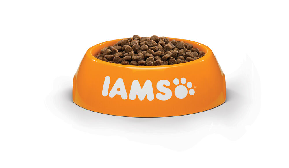 IAMS Kitten & Junior - Kattenvoer - 10 Kilogram - kalkoen, kip