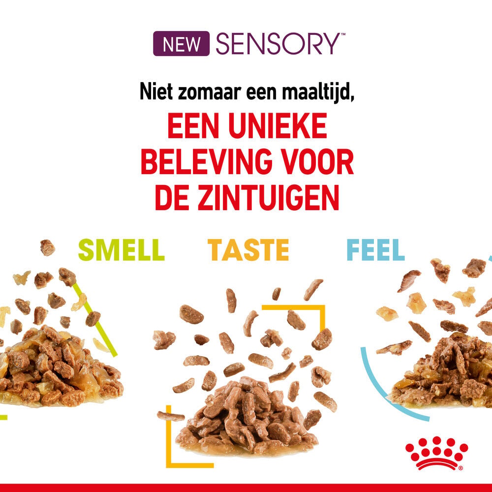 Royal Canin Sensory Multipack - Kattenvoer - 1020 Gram