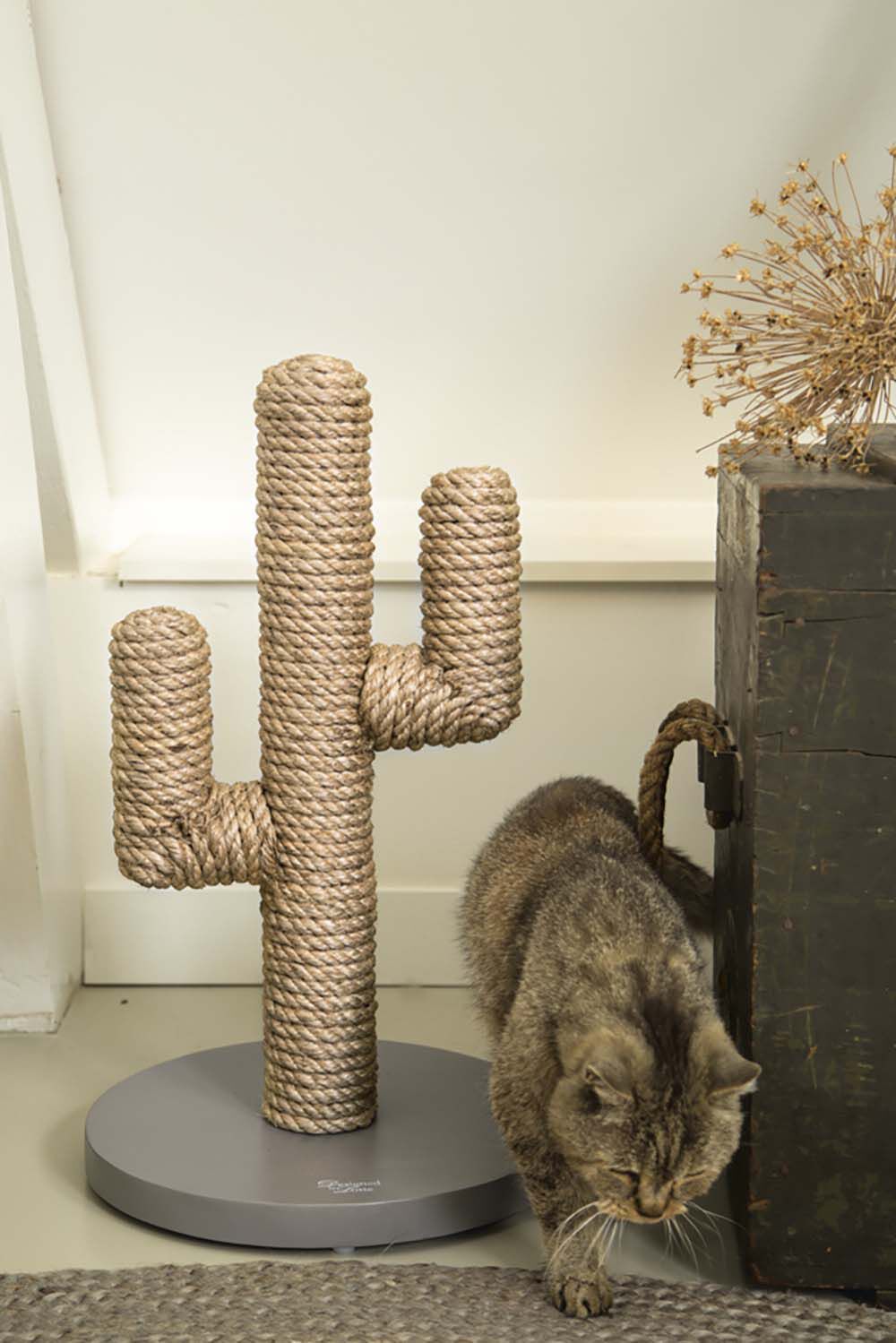 Designed by Lotte Cactus - Krabpaal - Taupe - 1x35x1 cm