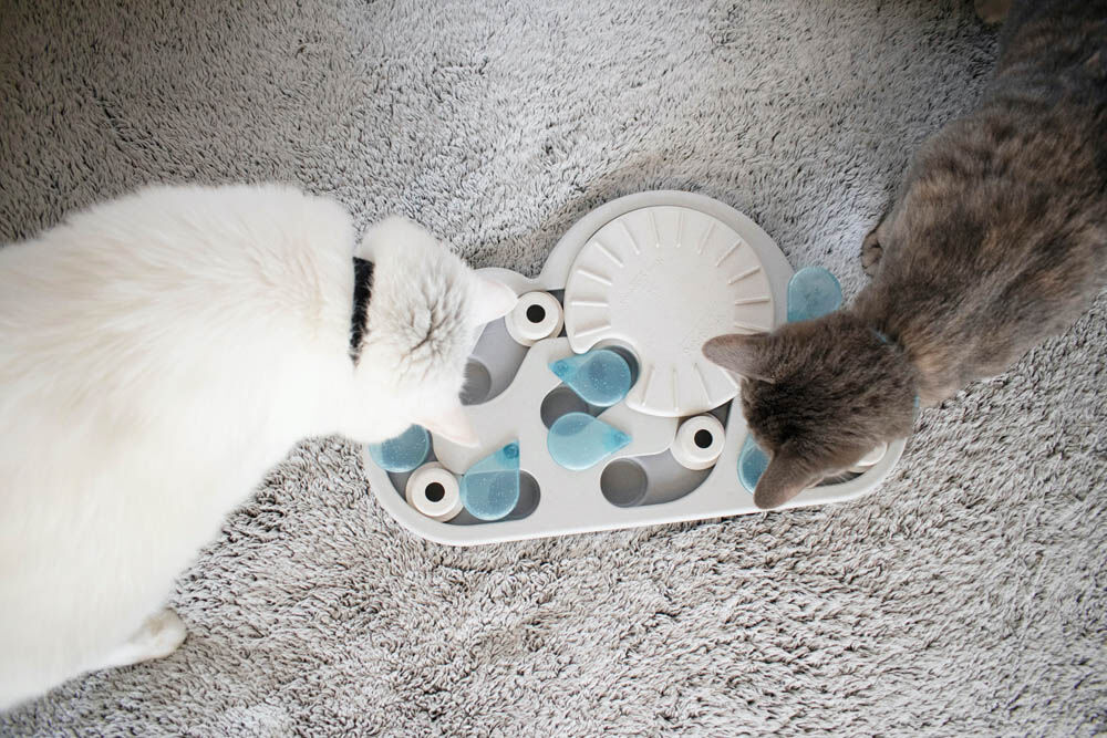 Nina Ottosson Rainy Day Puzzle & Play - Kattenspel - Grijs
