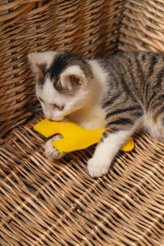 Beeztees Cody Jungle - Kattenspeeltje - Geel