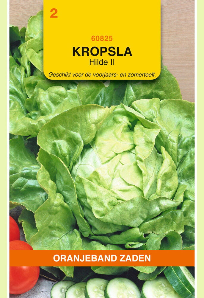 Oranjeband zaden Kropsla Hilde 2 - Groentezaden