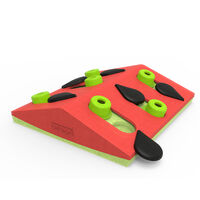Nina Ottosson Puzzle & Play Melon Madness - Kattenspel