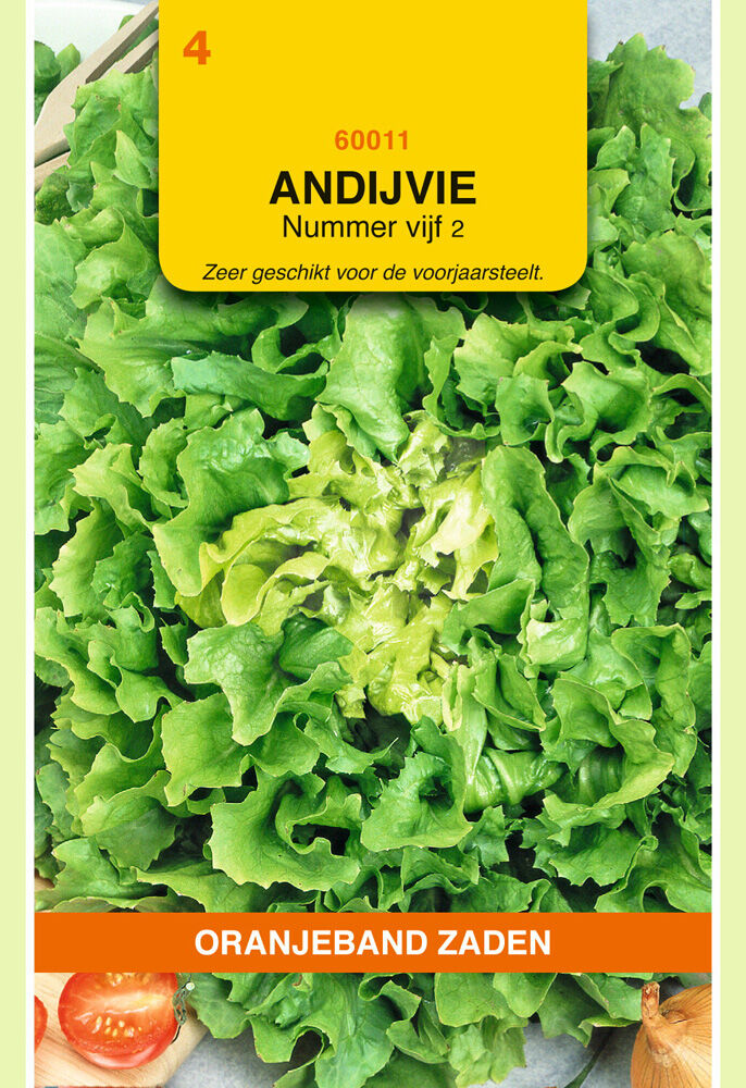 Oranjeband zaden Andijvie nummer vijf 2 - Groentezaden