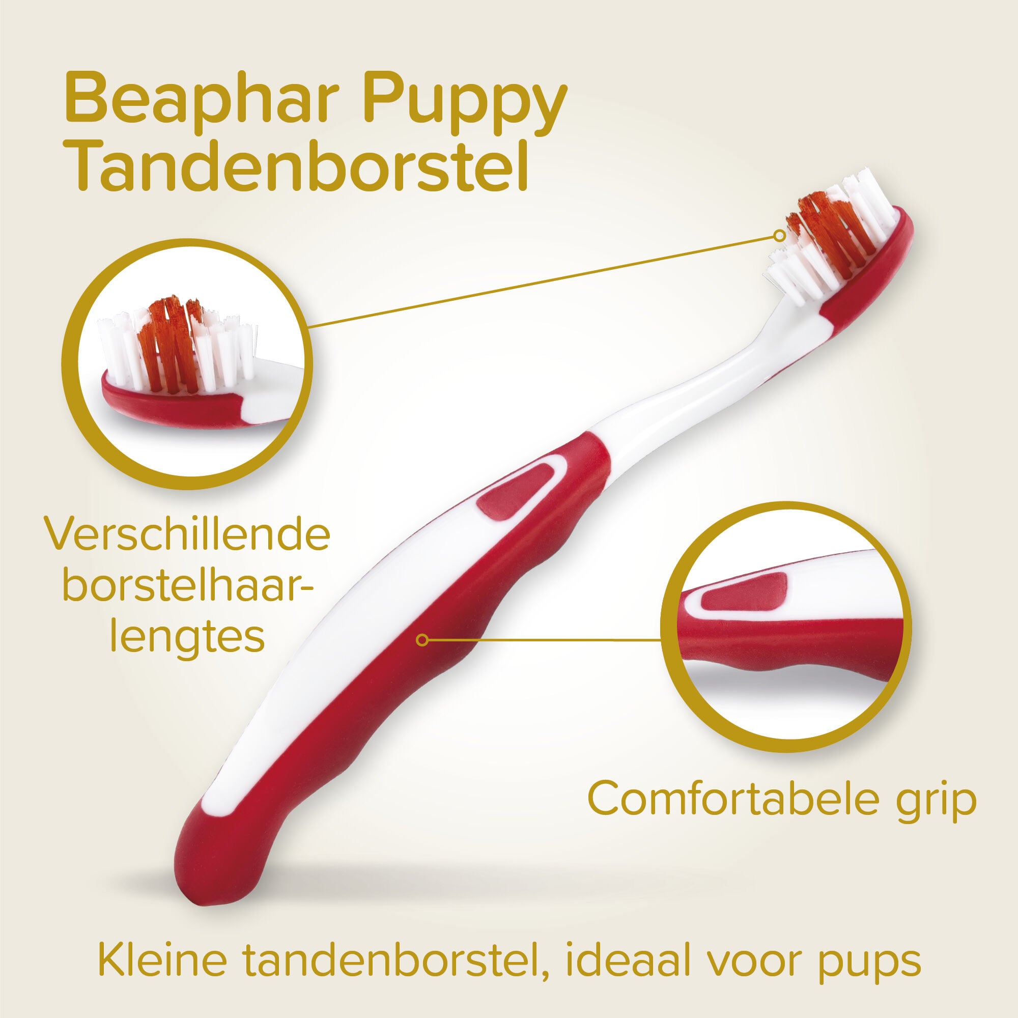 Beaphar - Tandenborstels en tandpasta - Hond - 3-delig combi-pack - Wit - 24.3x6.3x3.6 cm