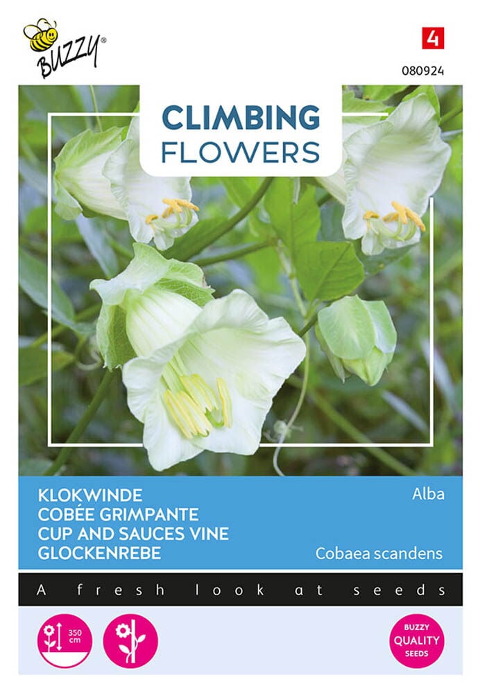 Buzzy Climbers Cobaea Alba - Bloemzaden