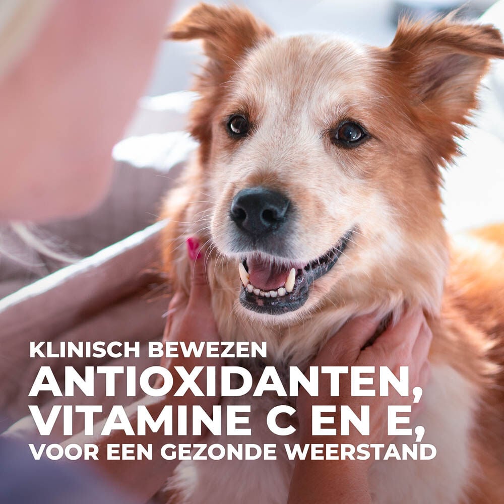 Hill's Science Plan Adult Small & Mini Hypoallergeen - Hondenvoer - 1500 Gram - tonijn, zalm