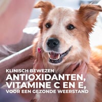 Hill's Science Plan Adult Small & Mini Hypoallergeen - Hondenvoer - 1500 Gram - tonijn, zalm