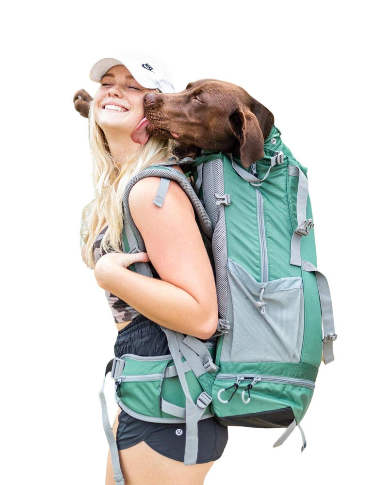 K9 Sport Sack Kolossus - Hondenrugzak - Groen - xx cm - Large