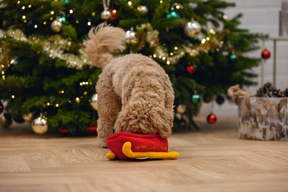 Beeztees Kerstslee Hide and Seek - Denkspel - Puzzel - Hondenspeelgoed - rood