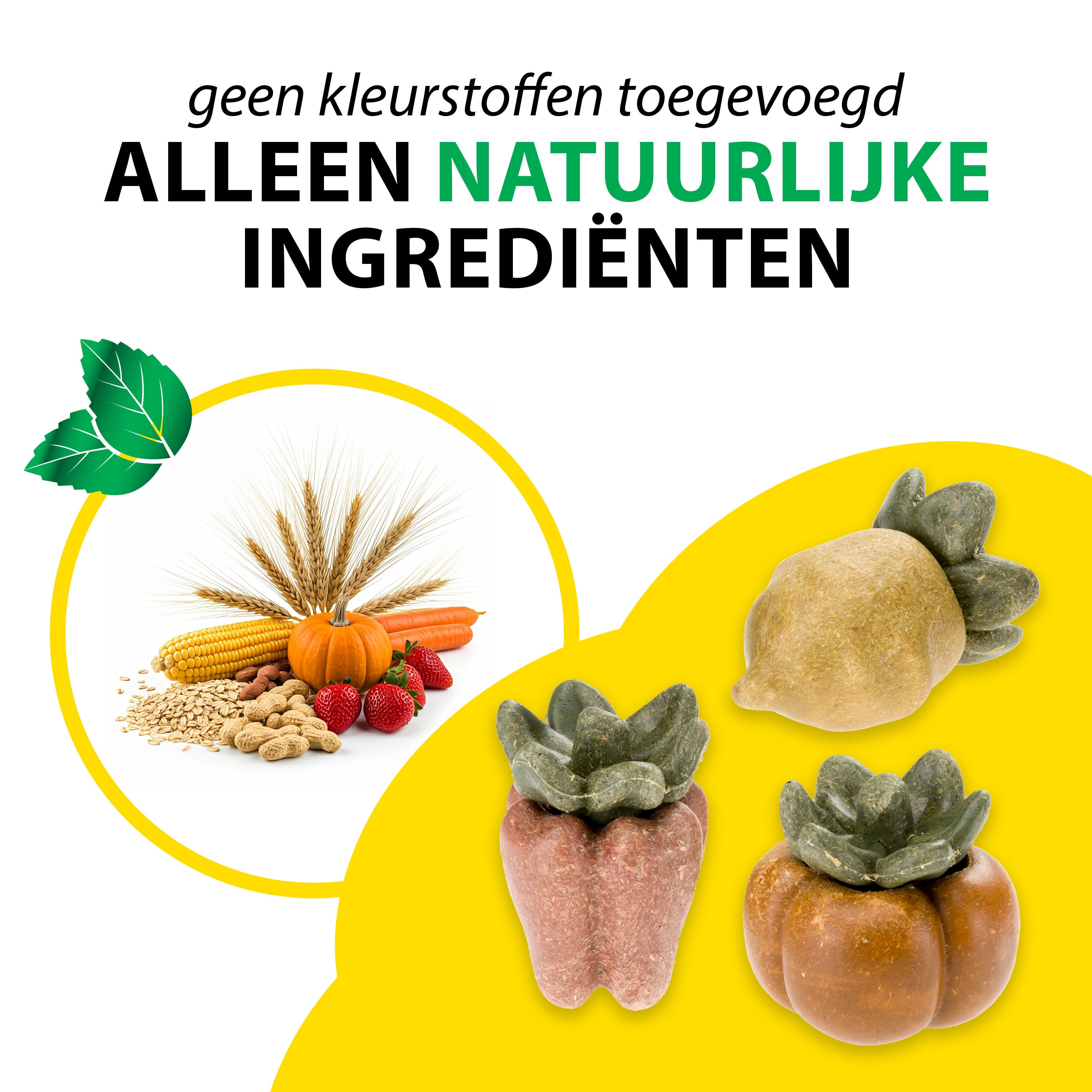 Ferplast Veggie Bites Cactus - Knaagdiersnack
