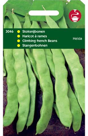 Hortitops Stoksnijbonen Phaseolus Vulgaris L. Helda - Groentezaden