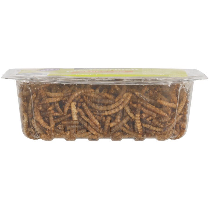 Welkoop - Gedroogde meelwormen - Tuinvogelvoer - 50 Gram - Meelwormen