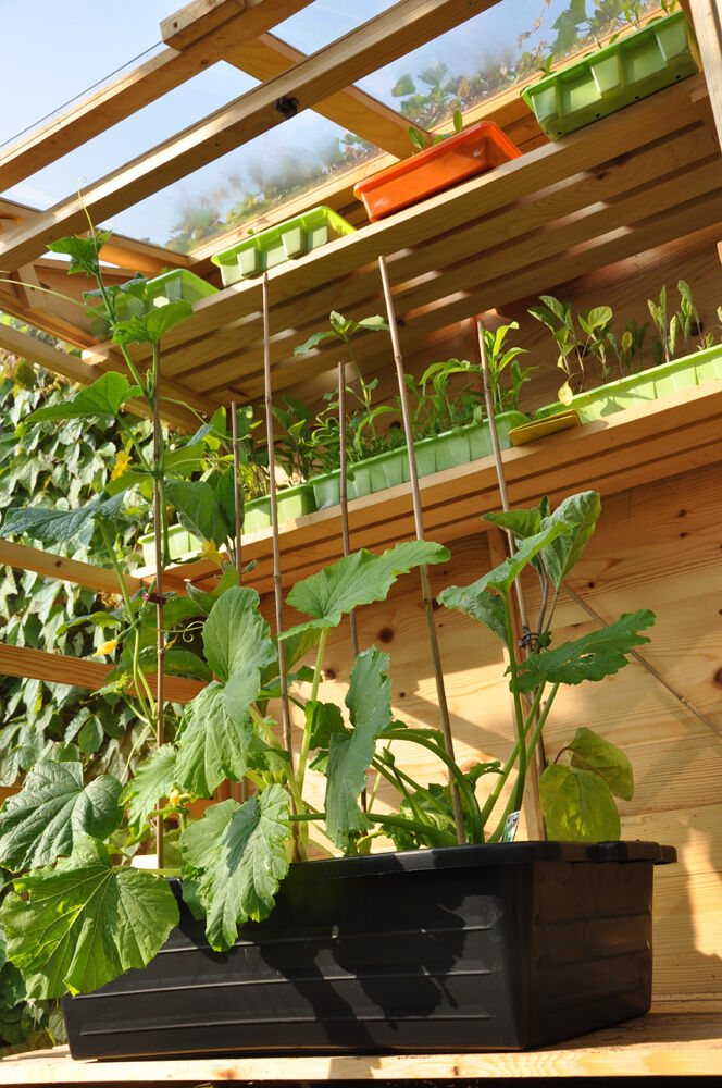 Royal Well Zaaikist 40L  - Kas accessoires