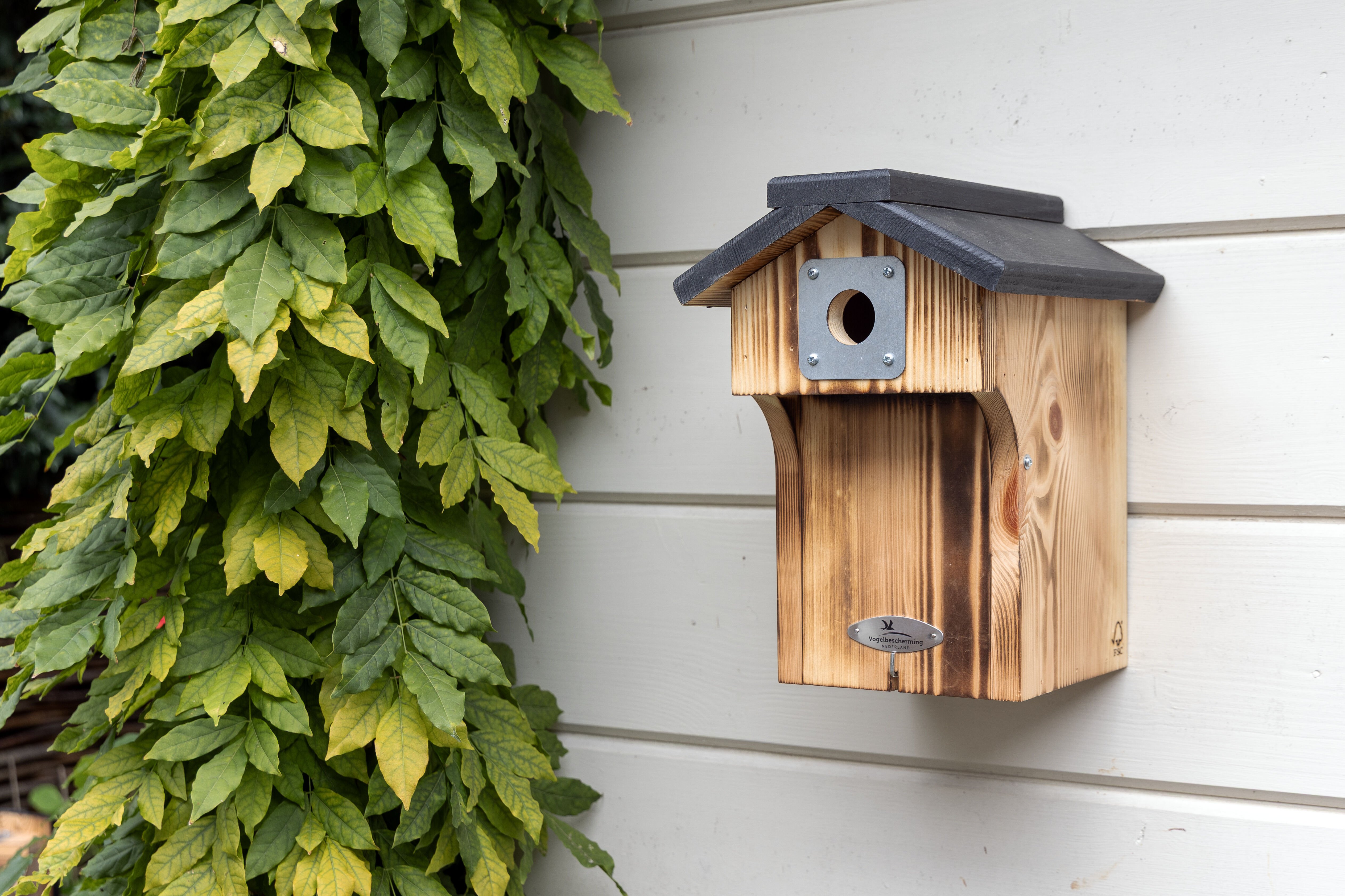 Vogelbescherming - Denton - Nestkast - Bruin, Zwart