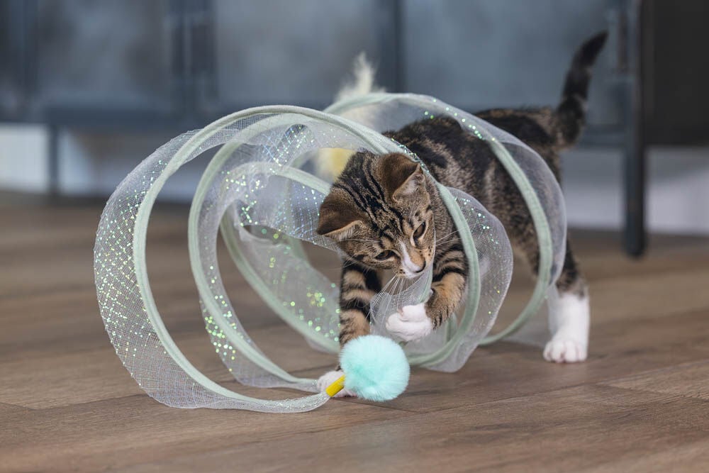Beeztees Gabi - Katten Speelspiraal - Multi