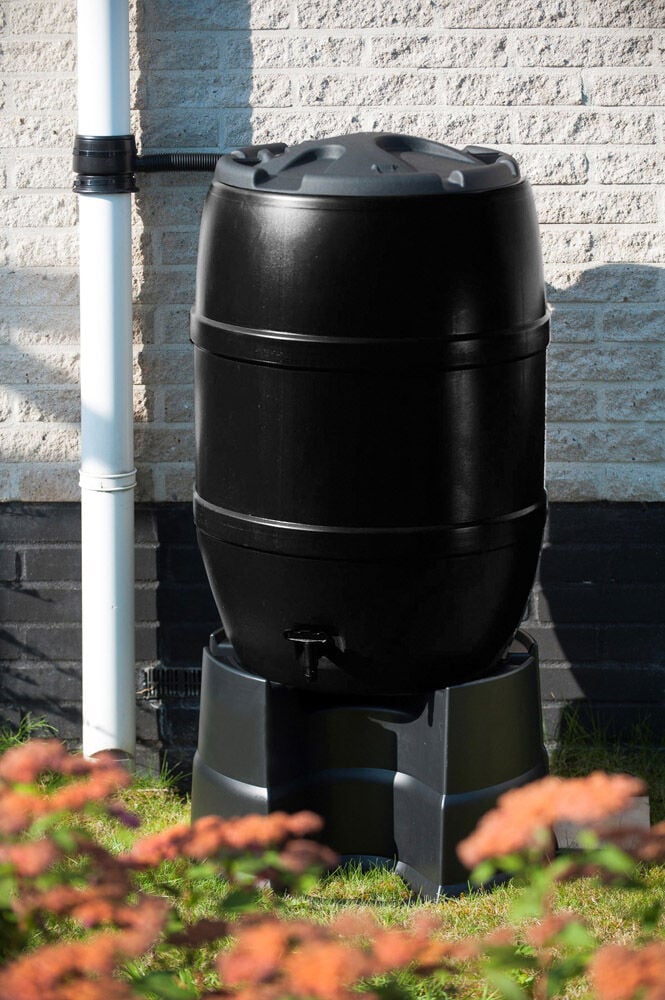 Nature regenton voet - Zwart