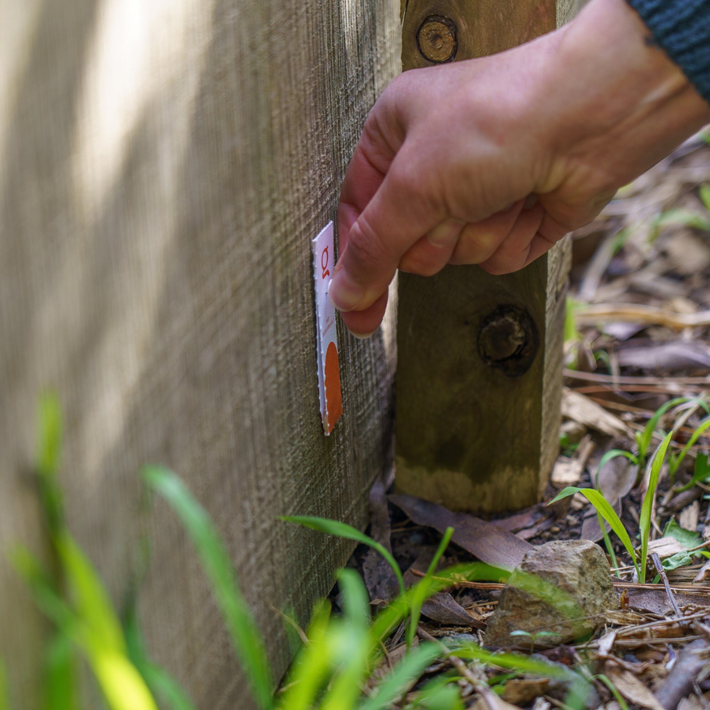 GoodNature Automatische Ratten - Muizenval - Valkit - Ongediertebestrijding