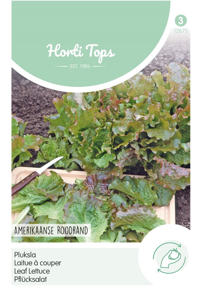 Hortitops Pluksla Lactuca sativa Amerikaanse Roodrand - Groentezaden
