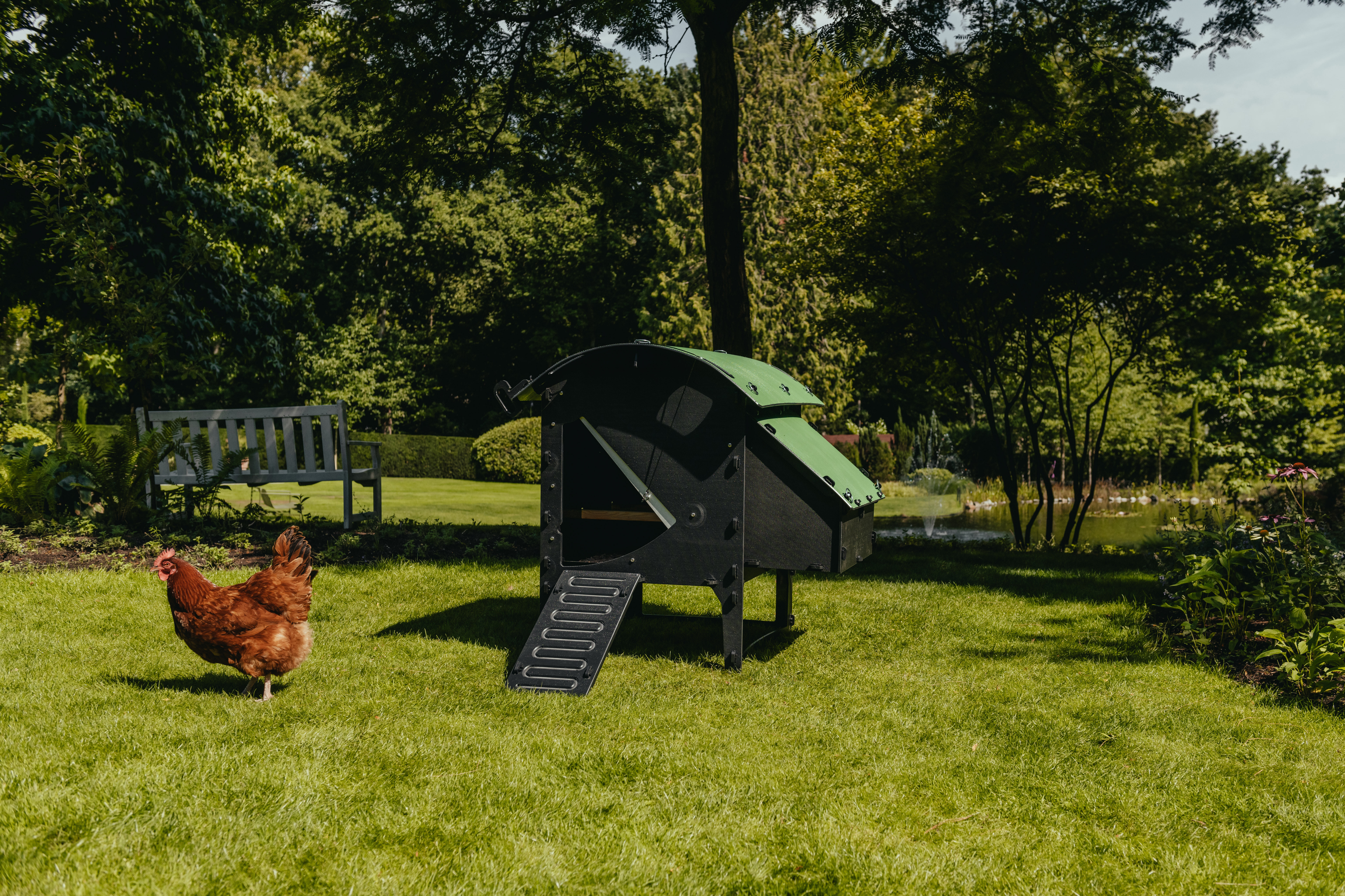Nestera Lodge - Kippenhok - 4 tot 6 kippen - Zwart/Groen - Rechts - M