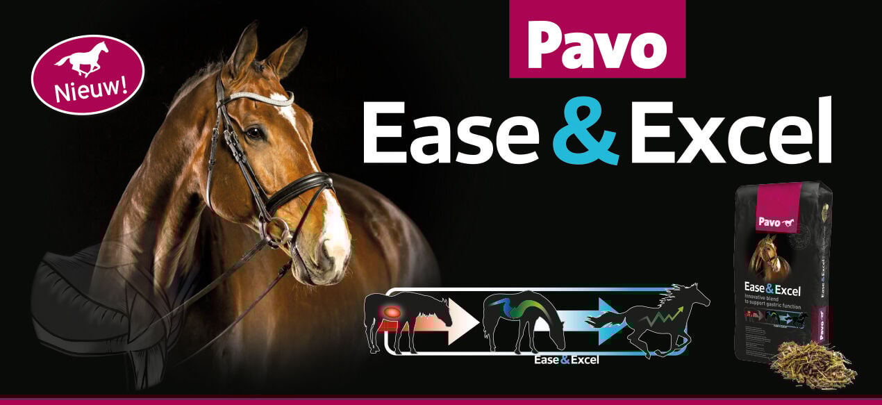 Pavo Ease&Excel - Sport/Prestatie - Paardenvoer - 3 Kilogram - Zak