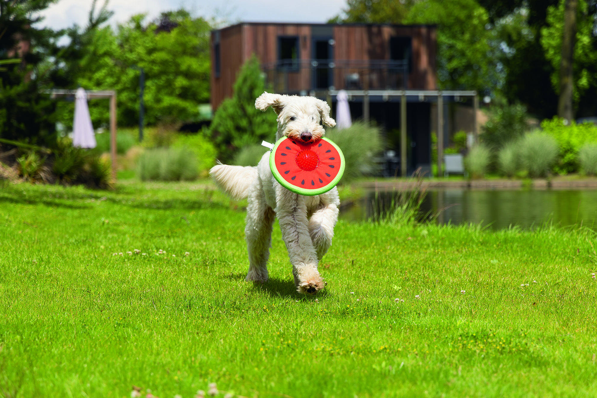 Beeztees Meloen Spikie - Waterspeelgoed Hond - Rood - 8x8x25 cm