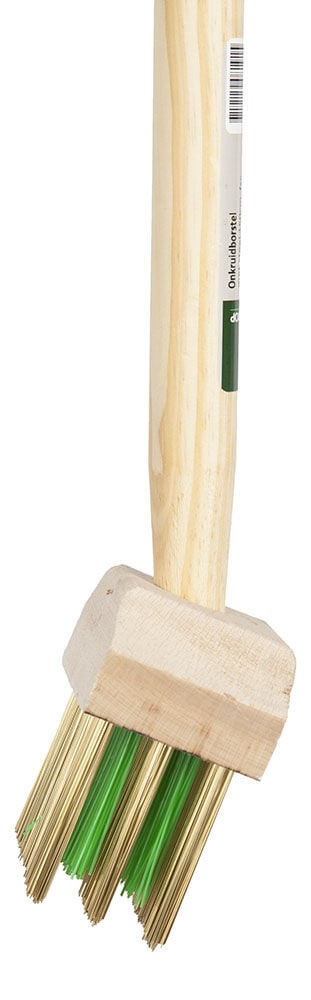 Welkoop Onkruidborstel - Onkruid & Voegenborstels - 6 cm - 150 cm