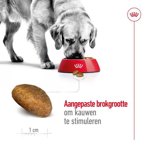Royal Canin Maxi Adult - Hondenvoer - 12 Kilogram - gevogelte
