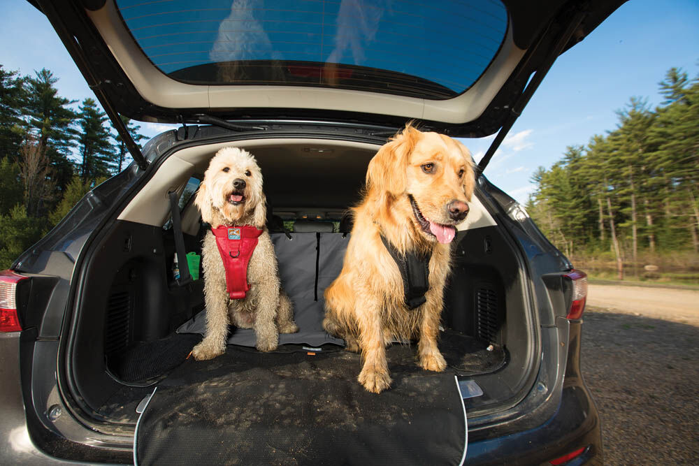 Kurgo Cargo Cape Kofferbak - Beschermhoes - grijs - 1x157x1 cm