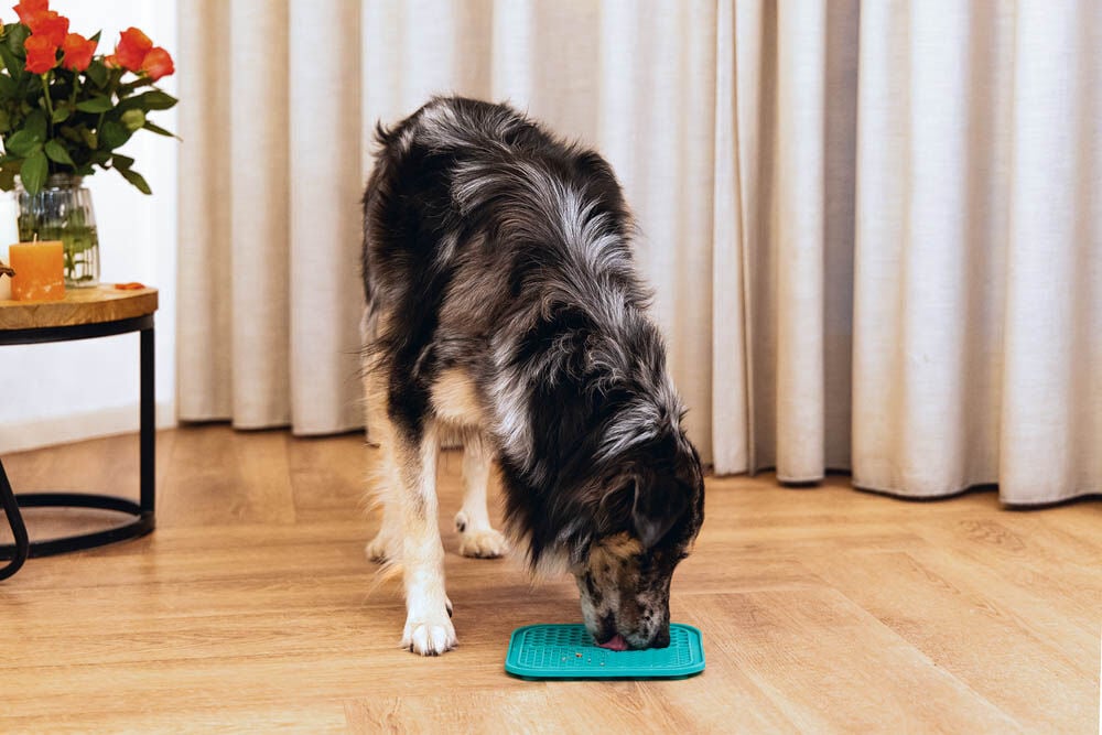 Beeztees Fijnproever - Likmat