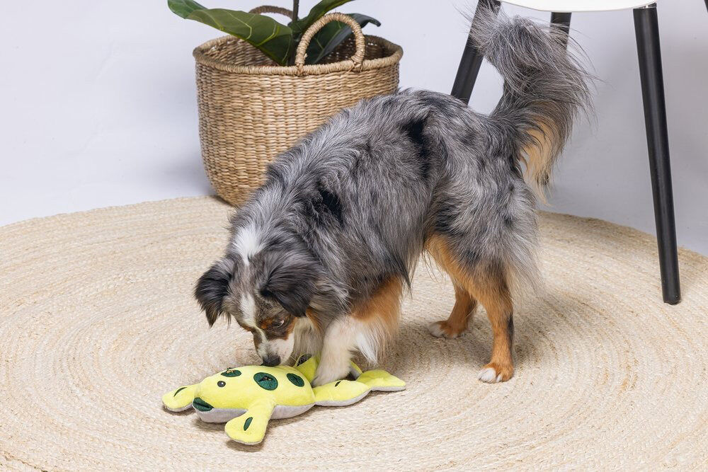 Beeztees Hide and Seek Kikker - Snuffelmat - Hondenspeelgoed - Multi - 7x20x31 cm