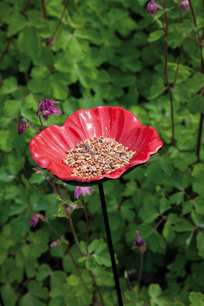 Bird Gift Klaproos -Voederschaal op steker