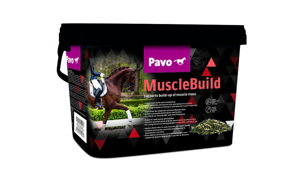 Pavo Musclebuild - Supplement - 3 Kilogram - Emmer Pavo Musclebuild - Supplement - 3 Kilogram - Emmer