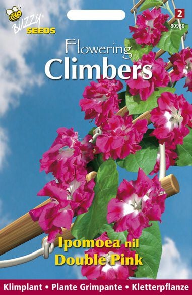 Buzzy Climbing Flowers Ipomoea Dubbel Rose - Bloemzaden