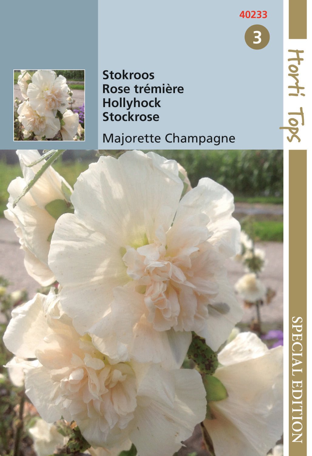 Hortitops Stokroos Majorette Champagne Althaea rosea - Bloemzaden