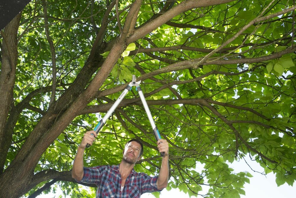 Gardena EasyCut 680 B - Takkenschaar