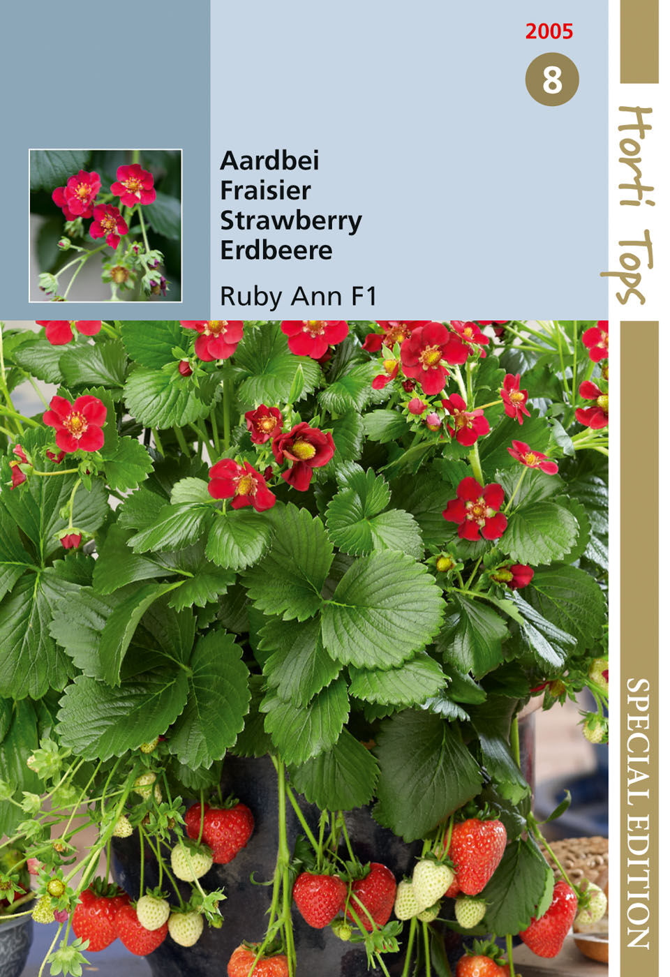 Hortitops Hangaardbeien Ruby Ann F1 Fragaria x ananassa - Groentezaden