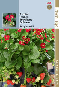 Hortitops Hangaardbeien Ruby Ann F1 Fragaria x ananassa - Groentezaden