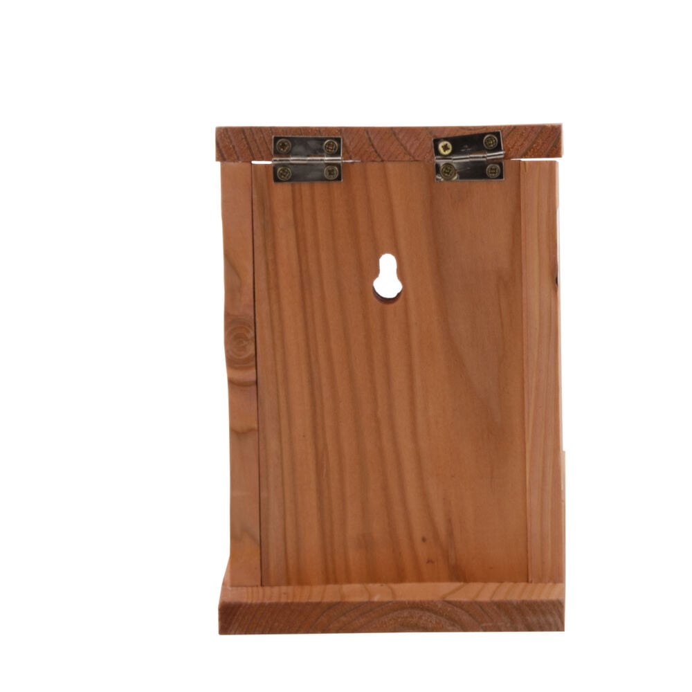 Welkoop Voederhuis Eekhoorn