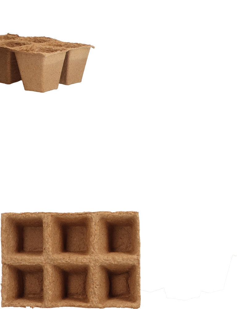 Welkoop Moestuin Magie - Kweekpotjes Houtpulp - Bruin - 13.5x13x9 cm