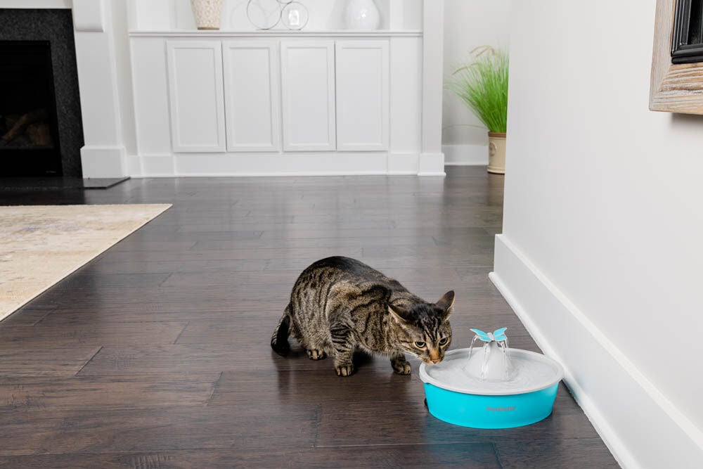 Petsafe Butterfly - Drinkfontein - 0.5 l - Blauw - 31x23x23 cm