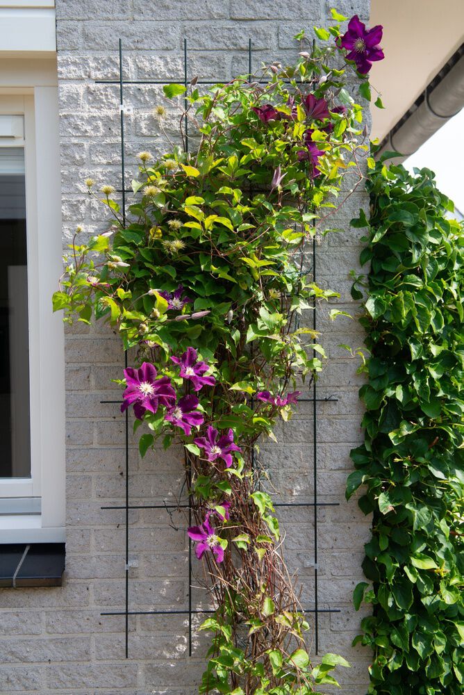 Nature - Klimrek - 145x145x145 cm