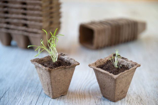 Nature - Turfpotjes - 14 Stuks - 28x8x28 cm