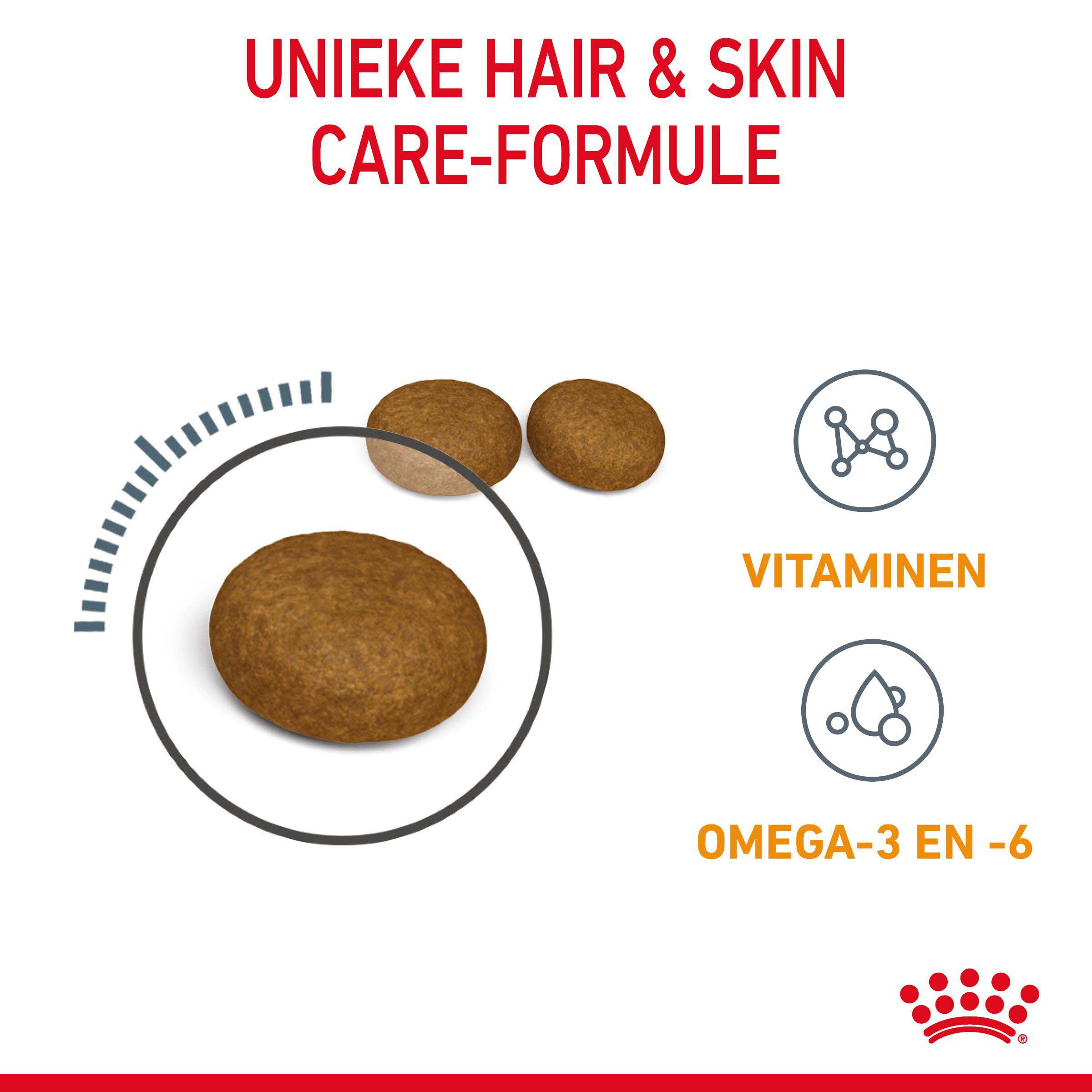 Royal Canin Hair & Skin Care - Kattenvoer - 4 Kilogram - Gevogelte