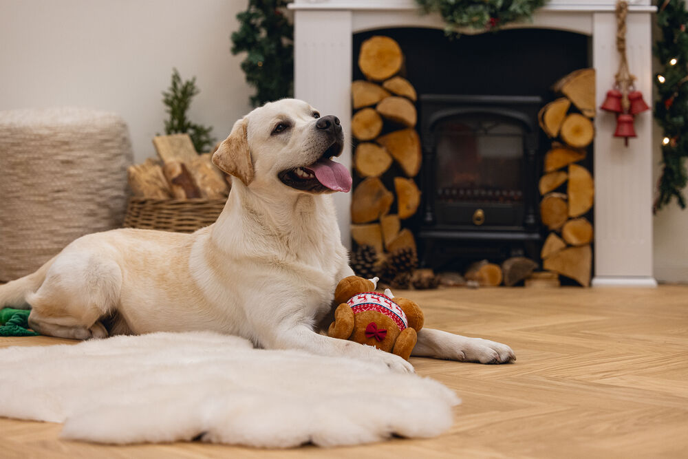 Beeztees Winter Kalkoen - Knuffel - Hondenspeelgoed - Beige - 30x18x18 cm